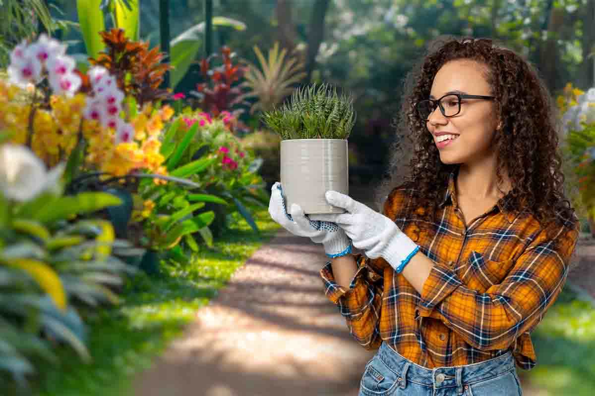 Fiori e piante per decorare giardini e balconi